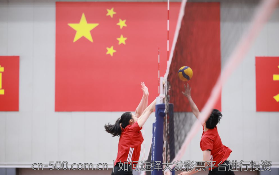 如何选择大发彩票平台进行投资